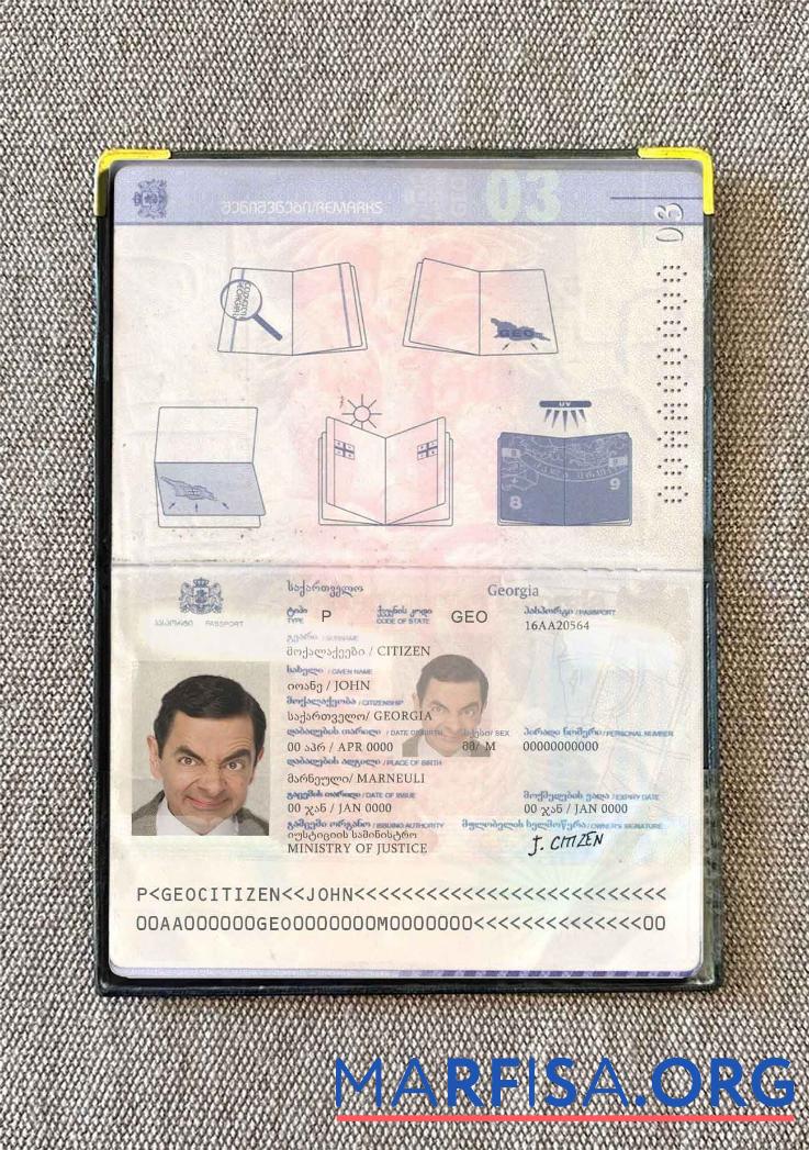 Realistic Georgia passport photo look real example